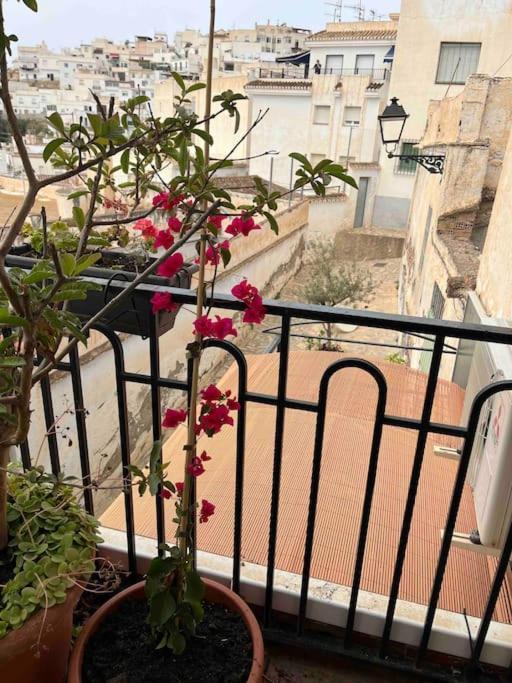 萨各夫雷纳Amazing Sea And Mountain View! Casita Pinata公寓 外观 照片